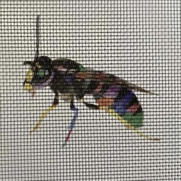 PR = Premiumgewebe anthrazit | 0,70 x 0,70mm | Meterware | Breite 1000mm