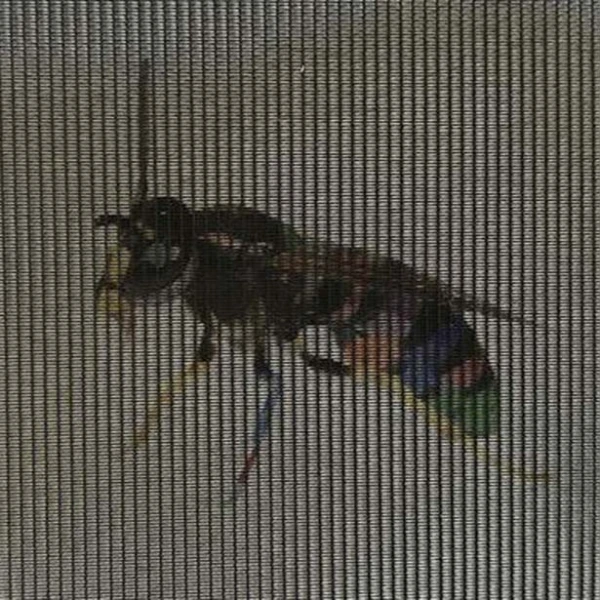 PS = Pollenschutzgewebe schwarz | 0,96 x 0,35mm | 30m Rolle | Breite 1700mm